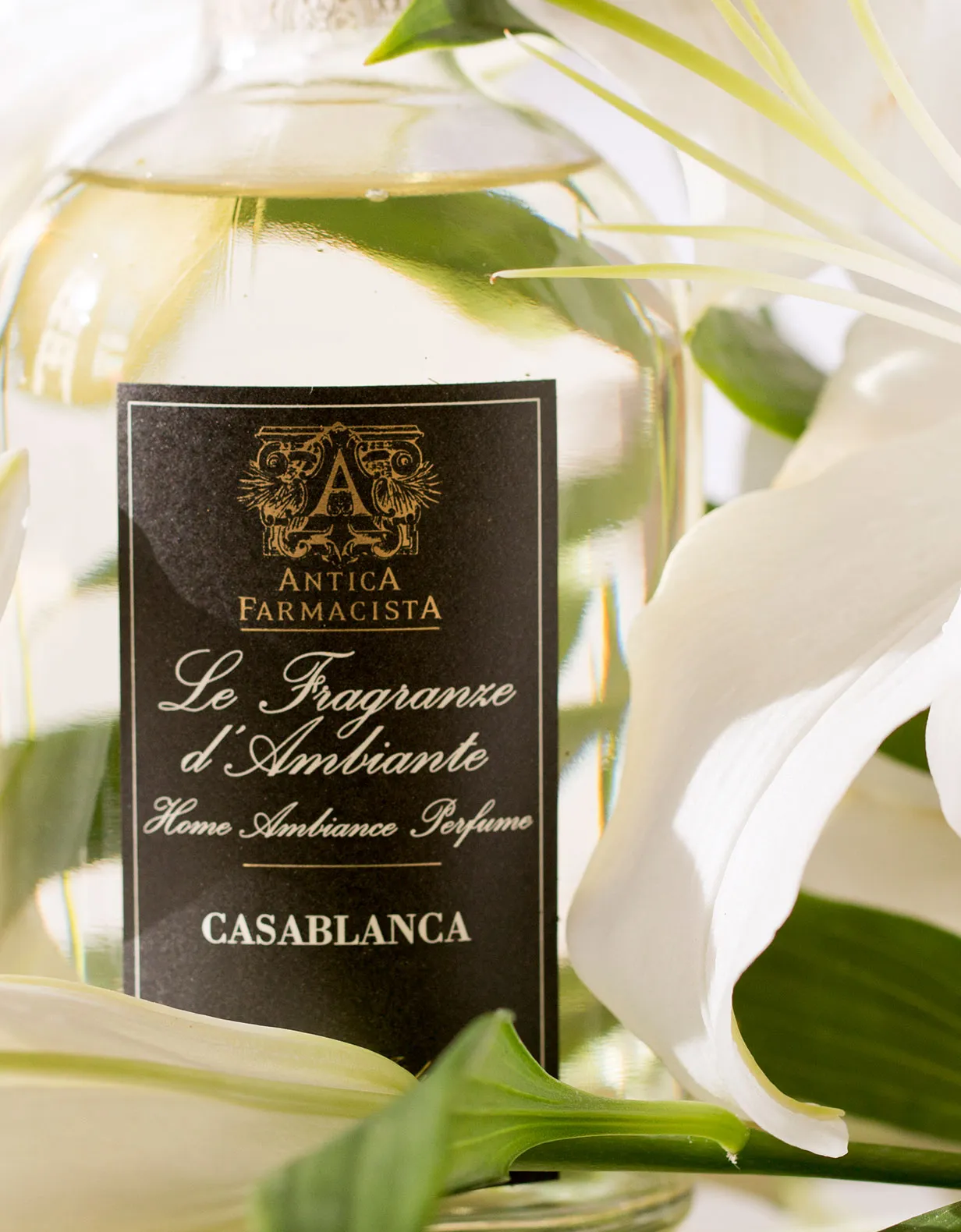 250ml Casablanca Reed Diffuser Antica Farmacista