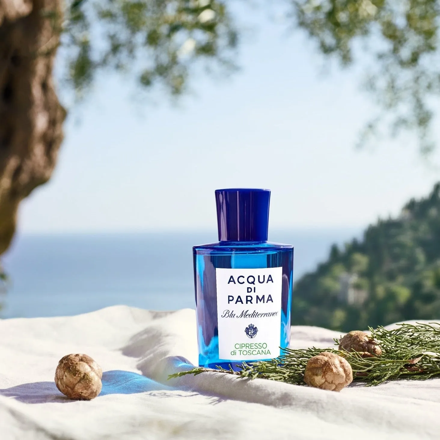 Acqua Di Parma Blu Mediterraneo Cipresso Di Toscana EDT