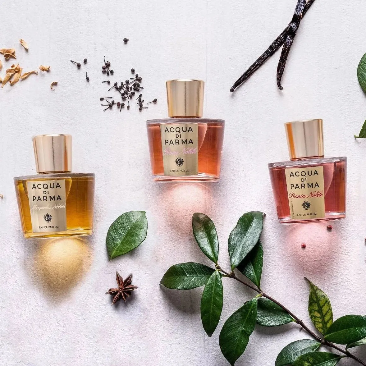 Acqua Di Parma Peonia Nobile EDP