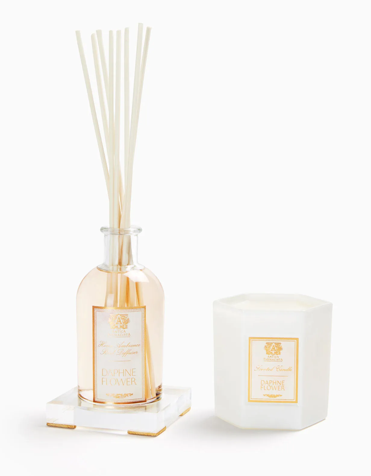 Acrylic Home Ambiance Gift Set: Daphne Flower Antica Farmacista