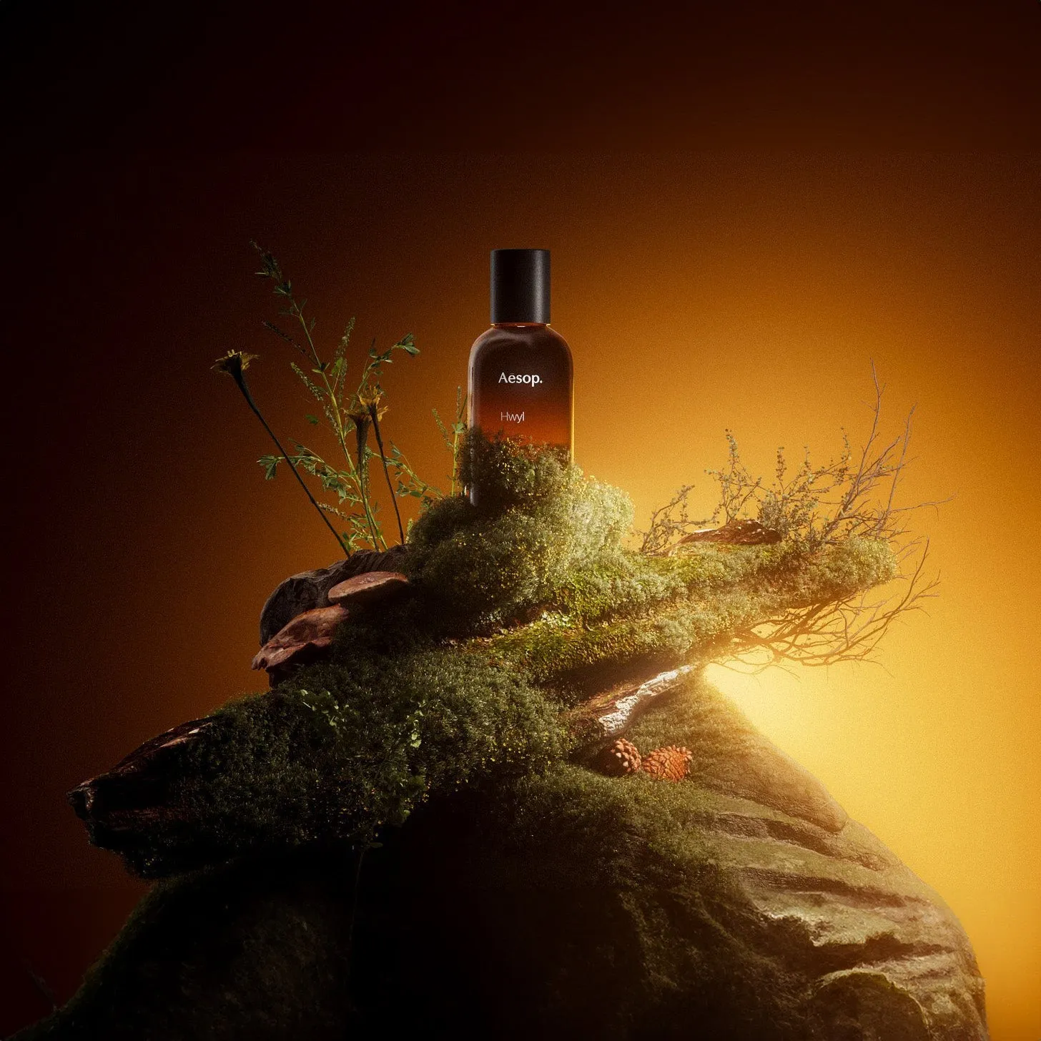 Aesop Hwyl EDP