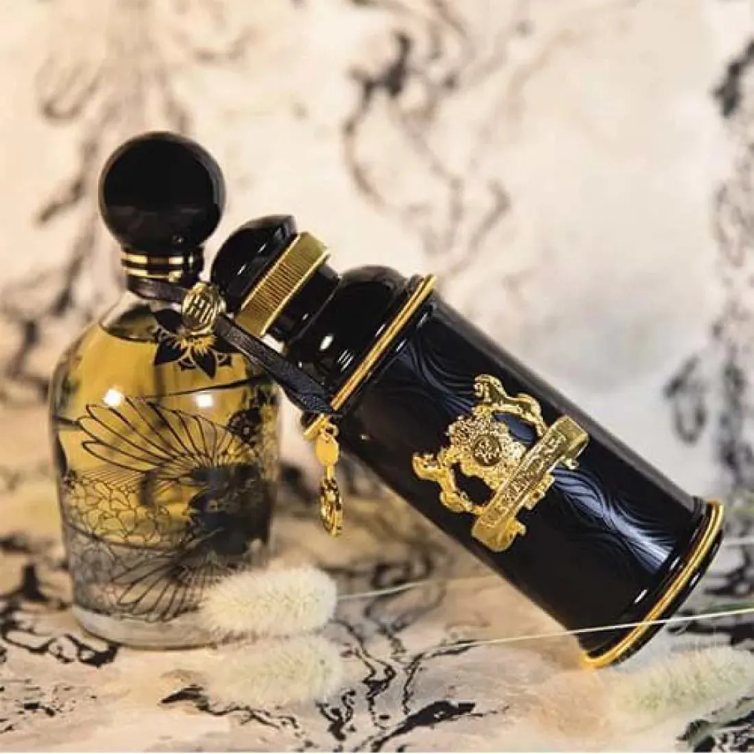 Alexandre J. Black Muscs EDP