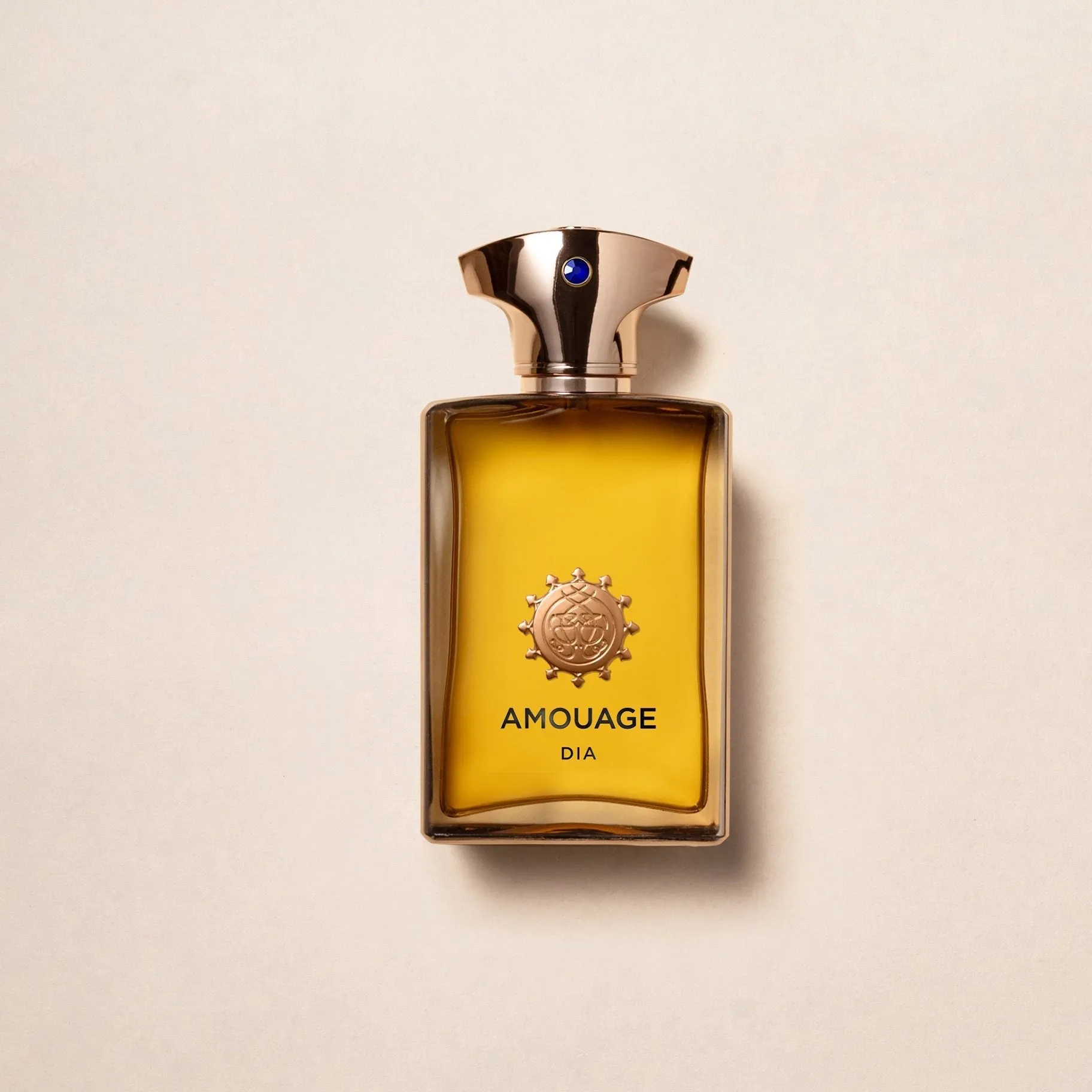 Amouage Dia EDP For Men