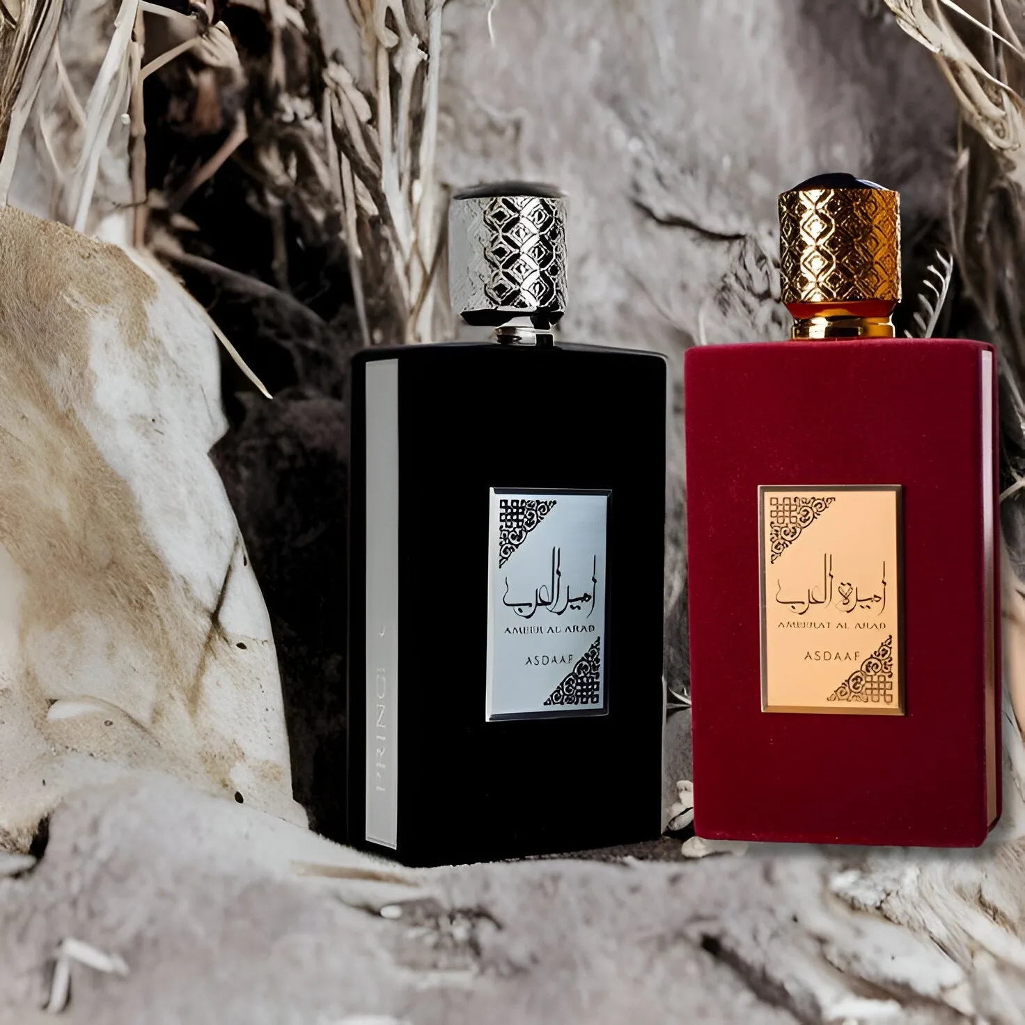 Asdaaf Ameer Al Arab EDP