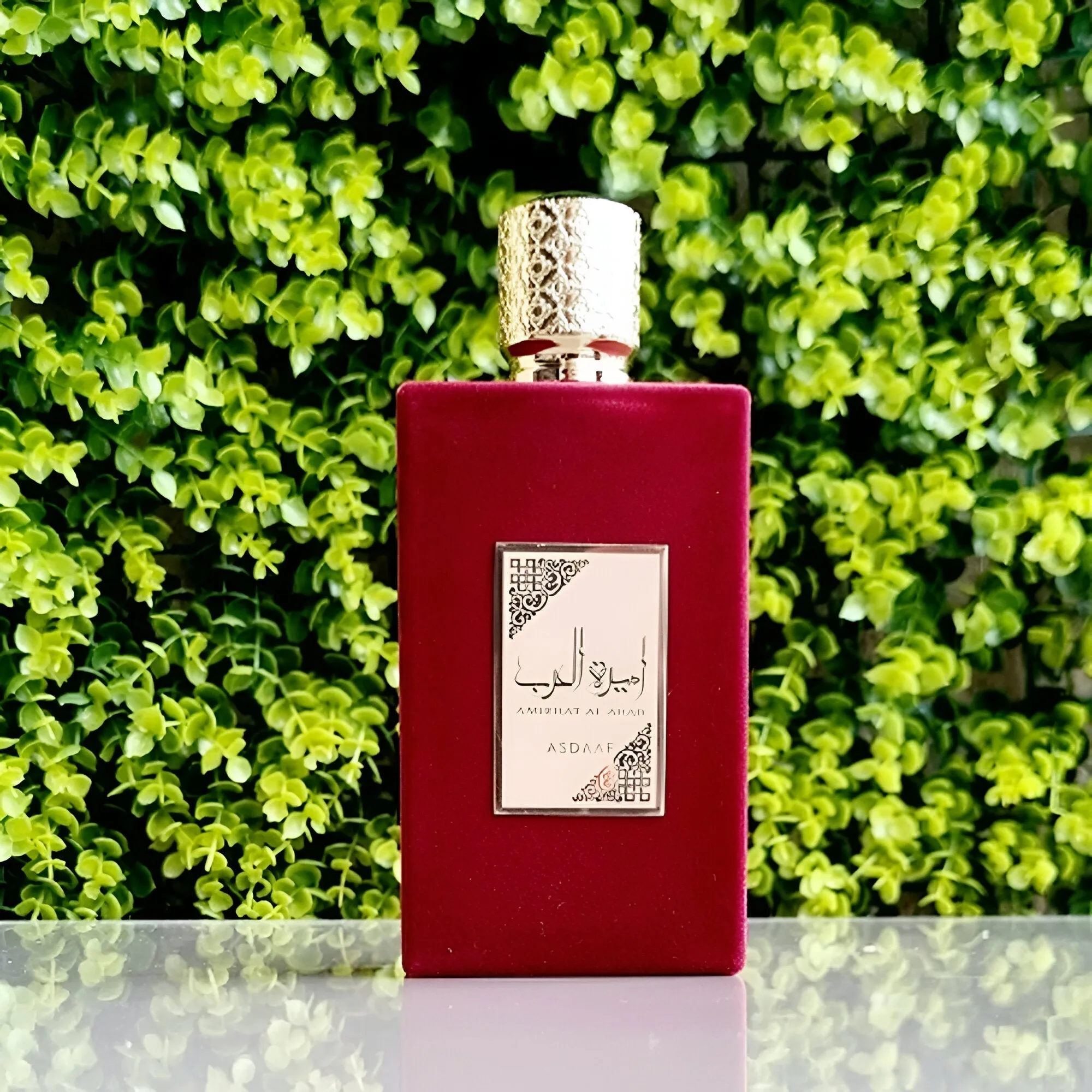 Asdaaf Ameerat Al Arab EDP