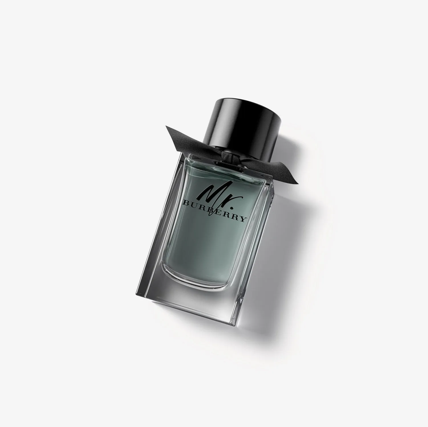 Burberry Mr. Burberry EDT Travel Set