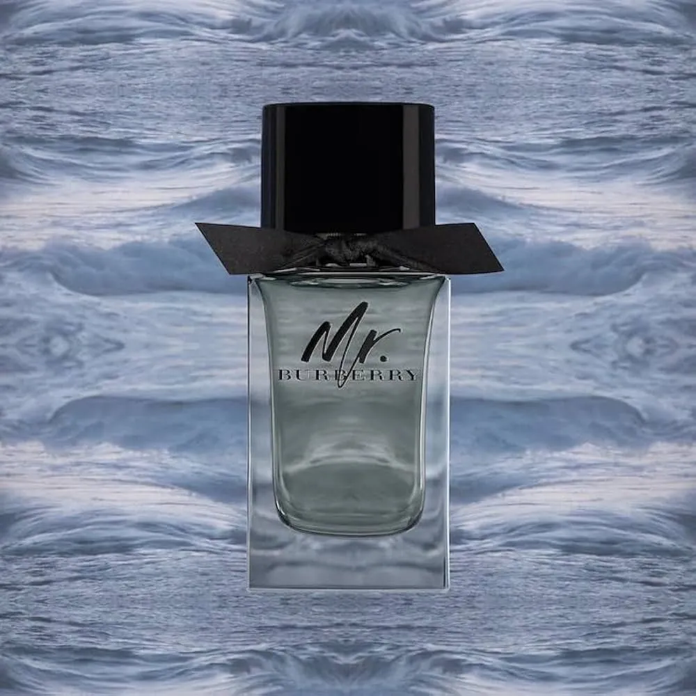 Burberry Mr. Burberry EDT Travel Set