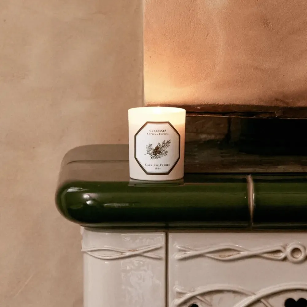 Carriere Freres Cypress Candle 185g