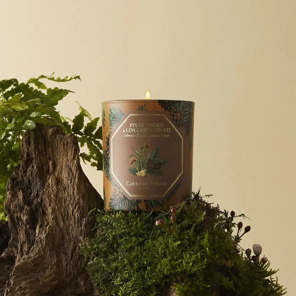 Carriere Freres Festive Pine & Candied Ginger Candle 185g