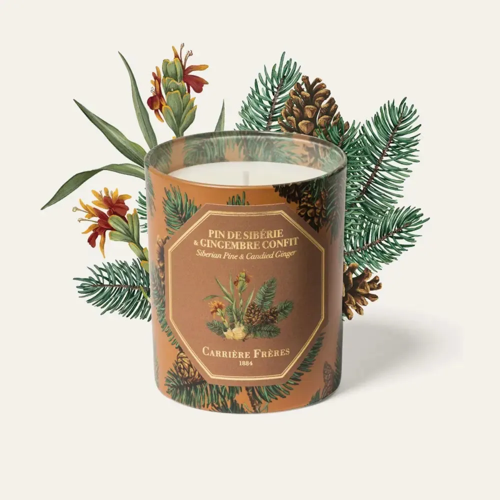 Carriere Freres Festive Pine & Candied Ginger Candle 185g