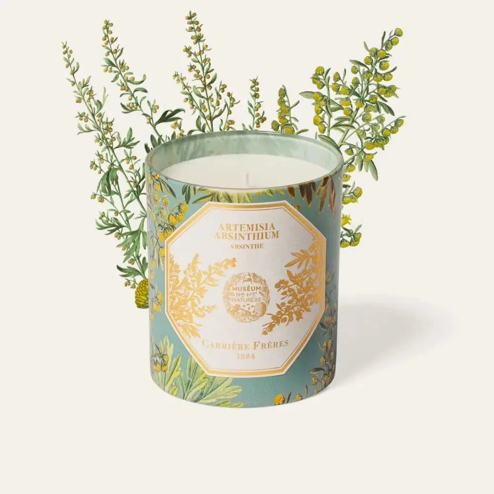 Carriere Freres  x The Museum Absinthe Candle 185g