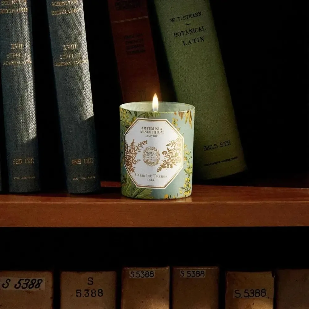 Carriere Freres  x The Museum Absinthe Candle 185g