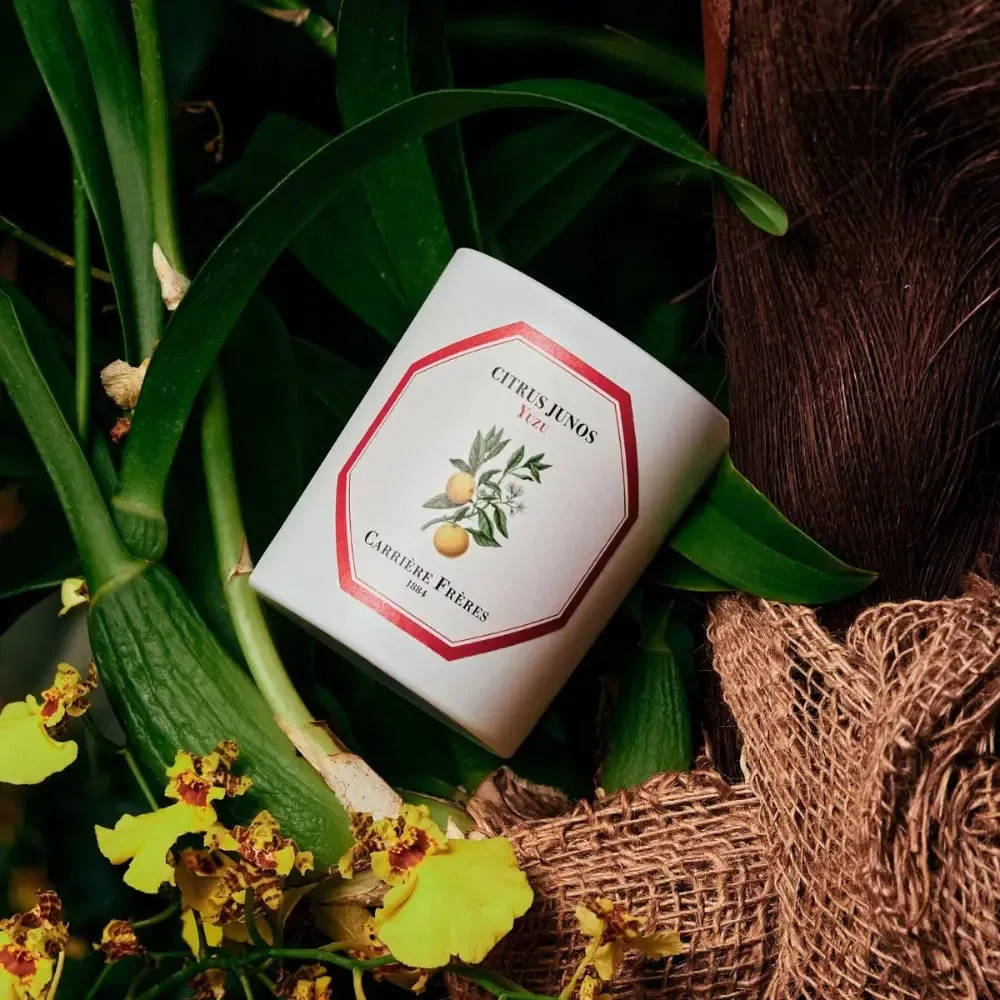 Carriere Freres Yuzu Candle 185g