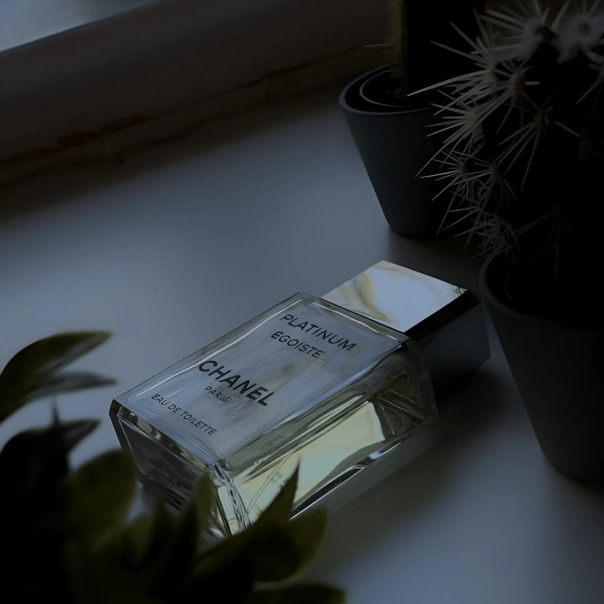 Chanel Platinum Egoiste EDT