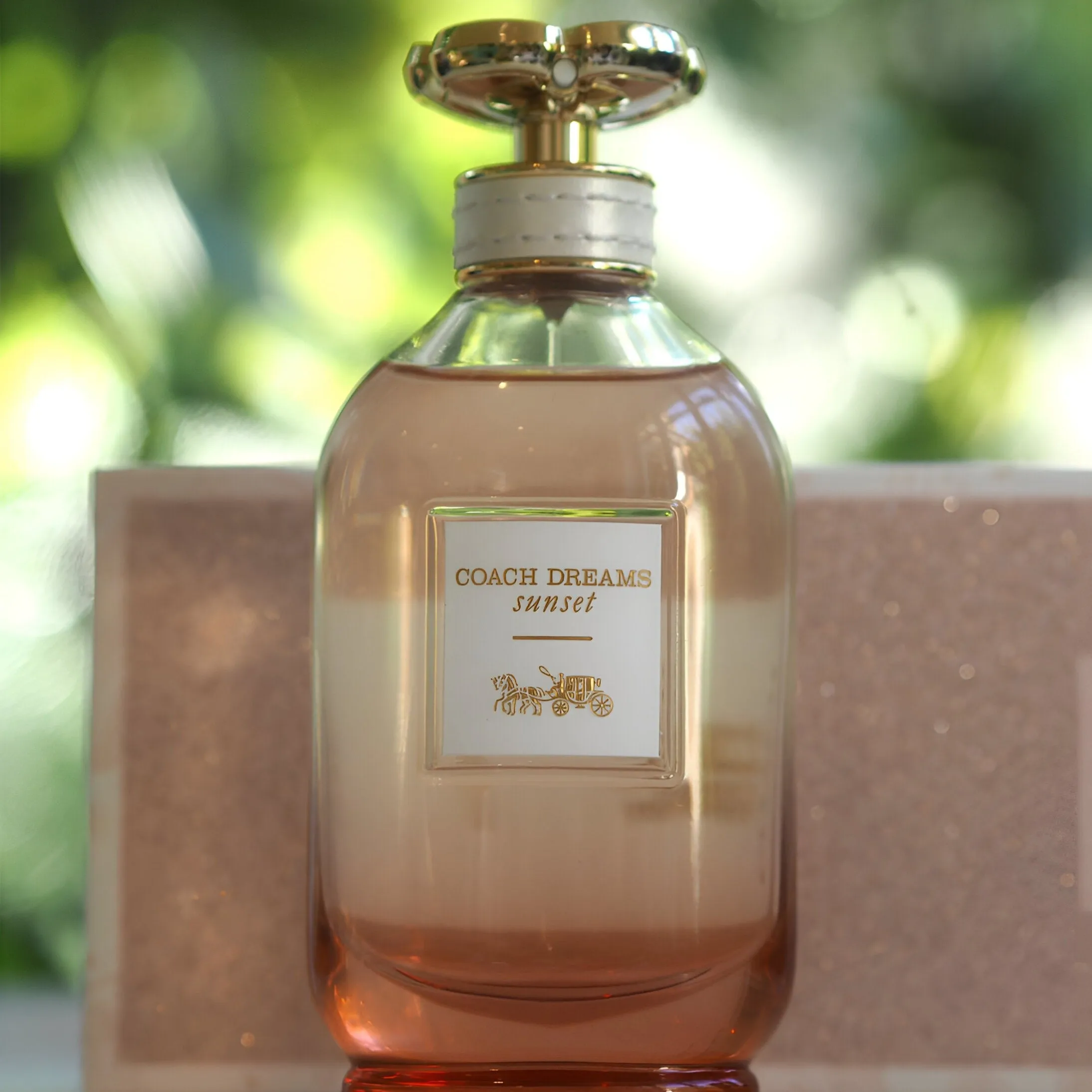 Coach Dreams Sunset Body Lotion