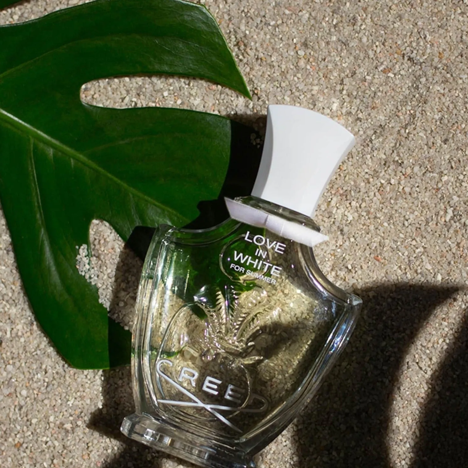 Creed Love In White For Summer EDP