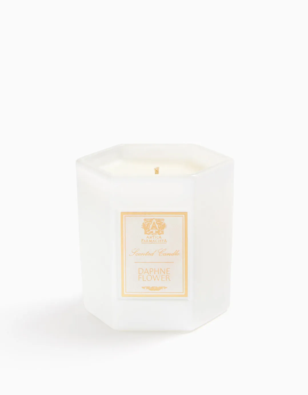 Daphne Flower Candle Antica Farmacista