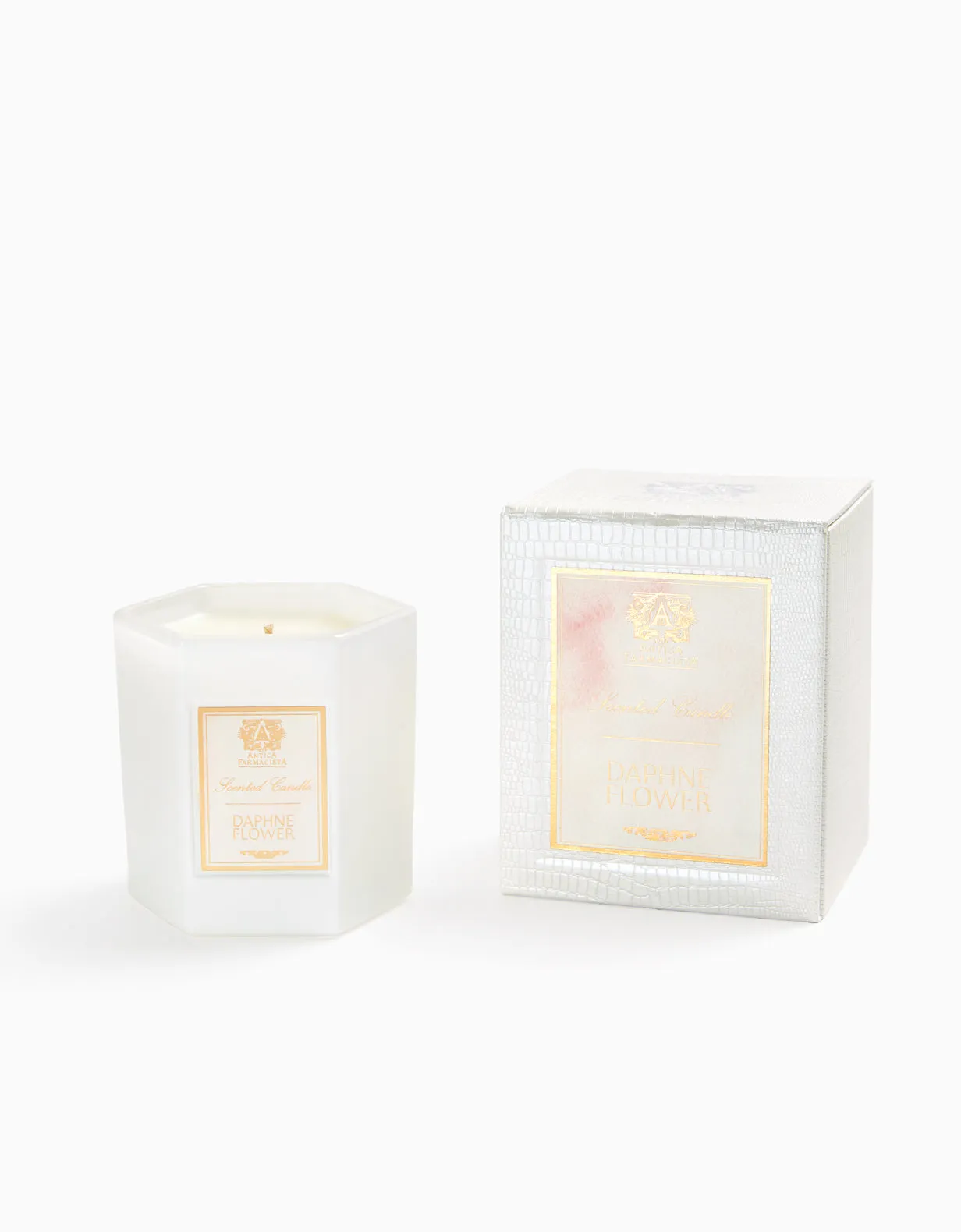Daphne Flower Candle Antica Farmacista
