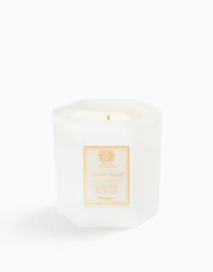 Daphne Flower Candle Antica Farmacista