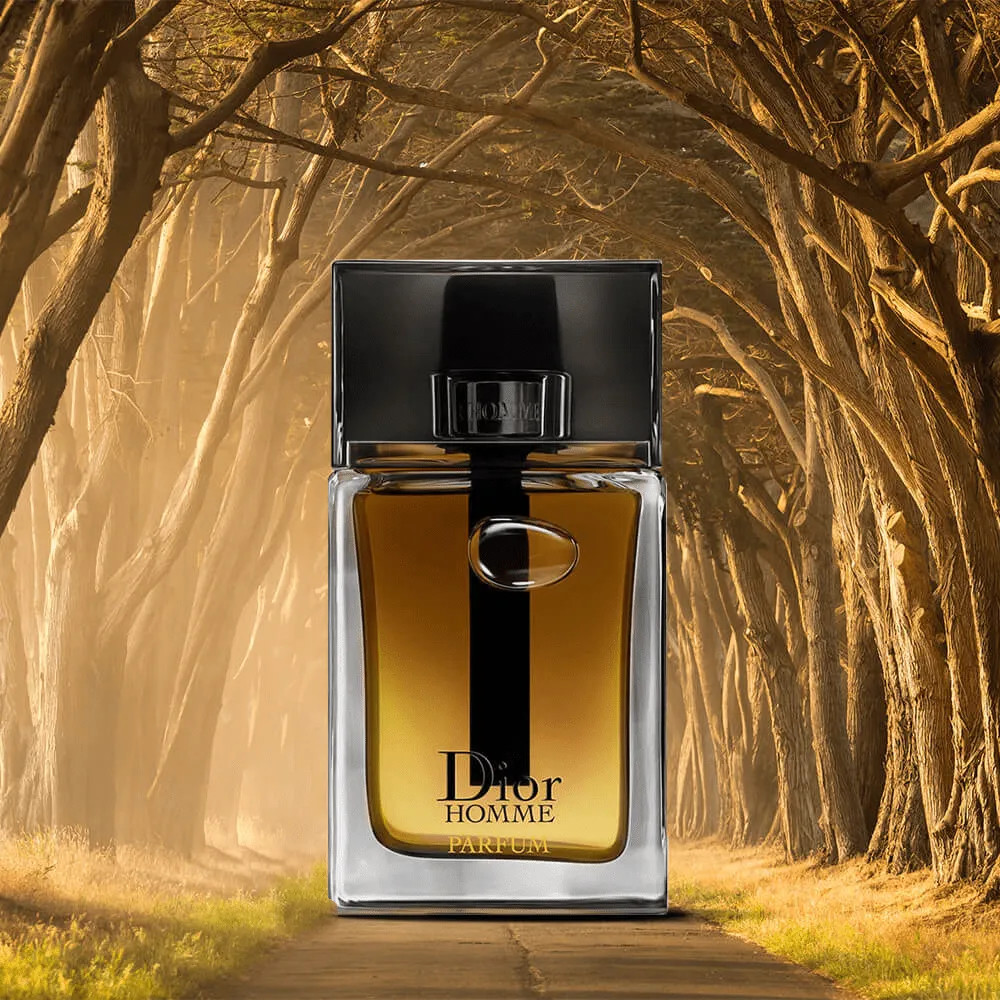 Dior Homme Parfum