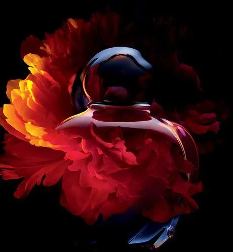Dior Hypnotic Poison EDT