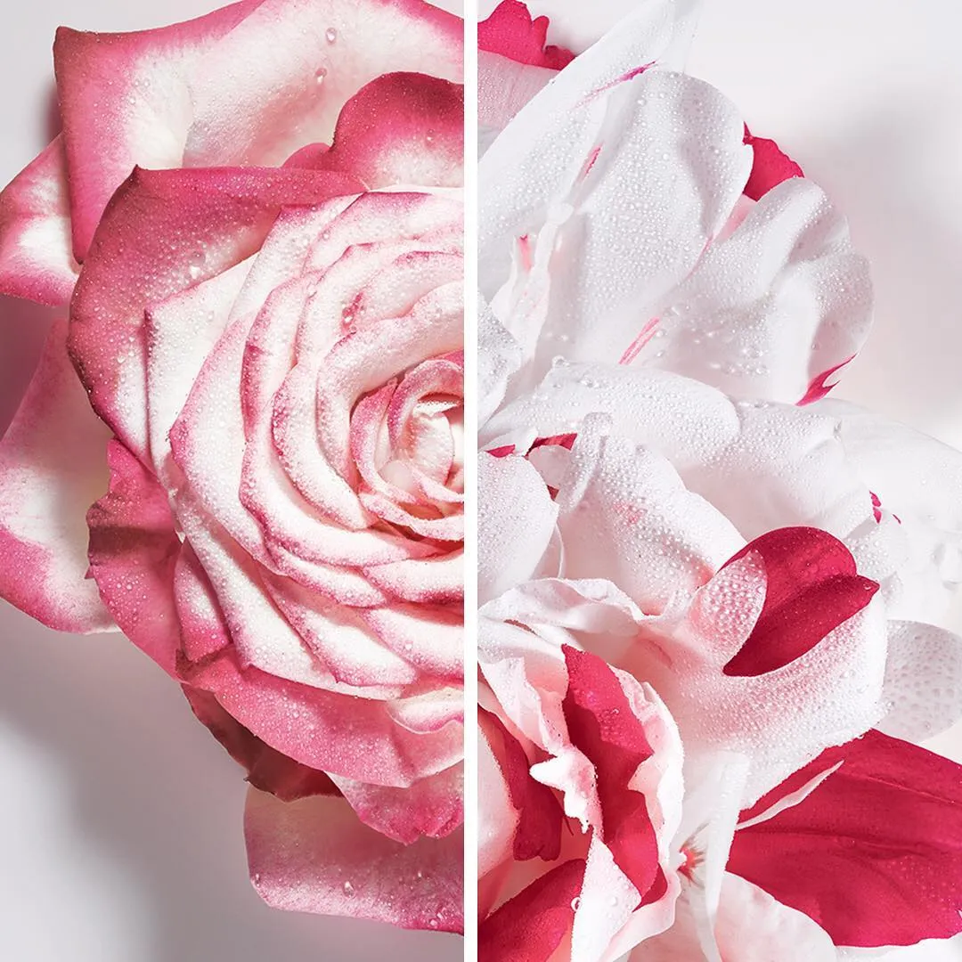 Dior Miss Dior Absolutely Blooming EDP