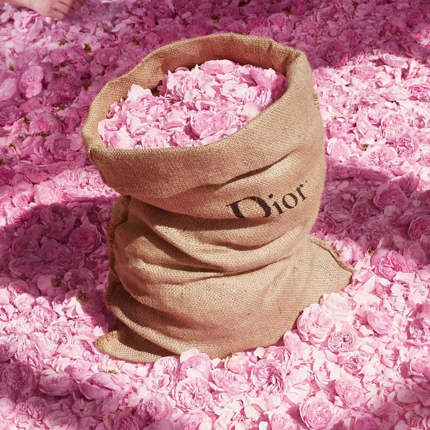 Dior Miss Dior EDT