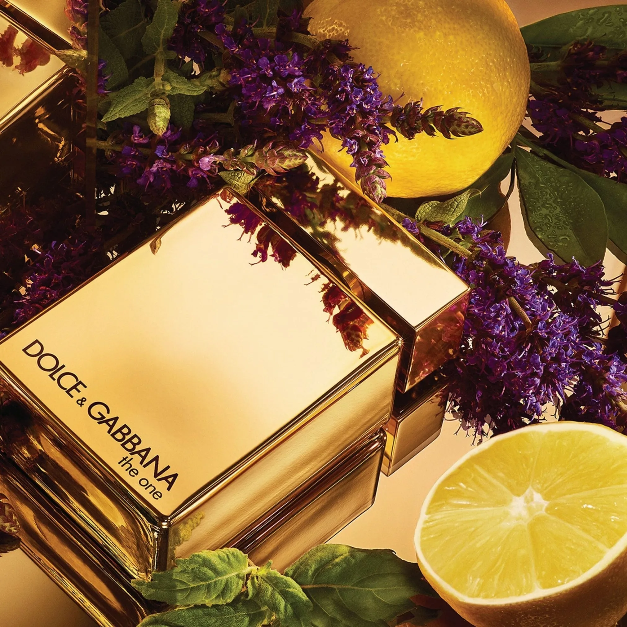 Dolce & Gabbana The One EDP For Women