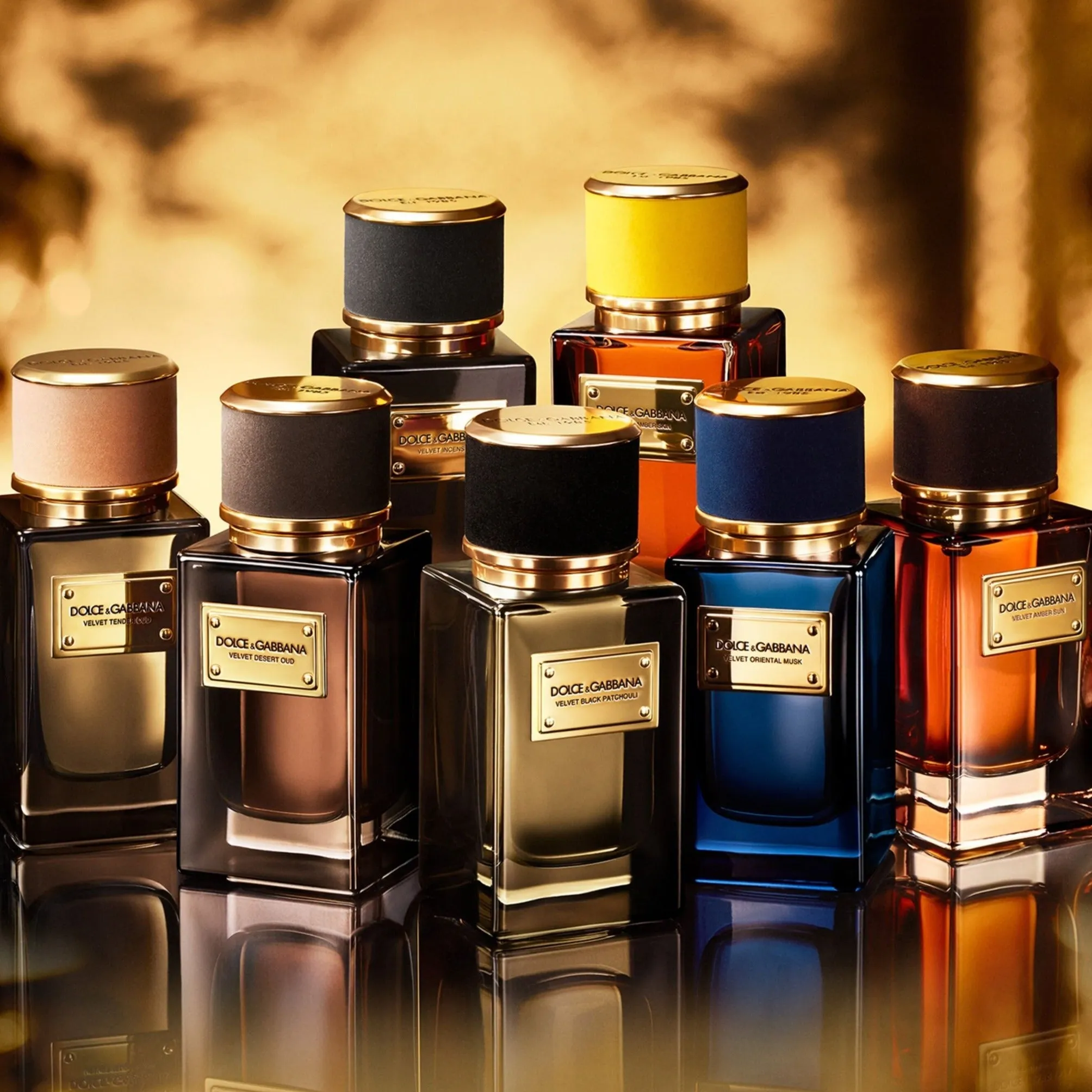 Dolce & Gabbana Velvet Black Patchouli EDP