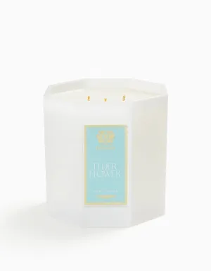 Elderflower Three-Wick Candle Antica Farmacista