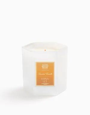 Hana Lei Candle Antica Farmacista