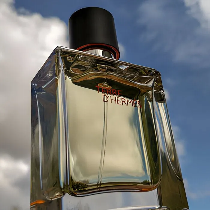 Hermes Terre d'Hermes EDT & Shower Gel Set For Men