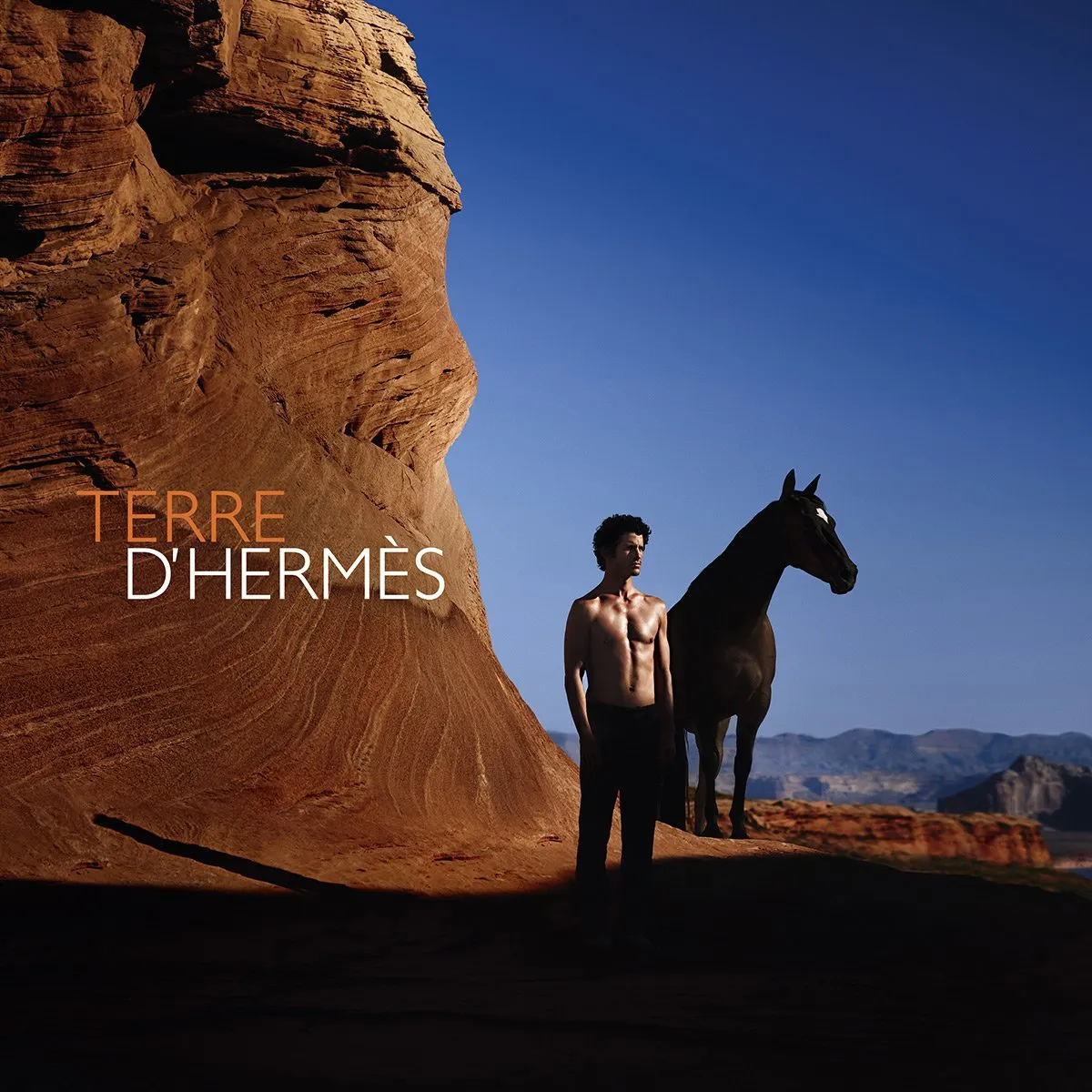 HERMS Terre d'HERMS Pure Parfum