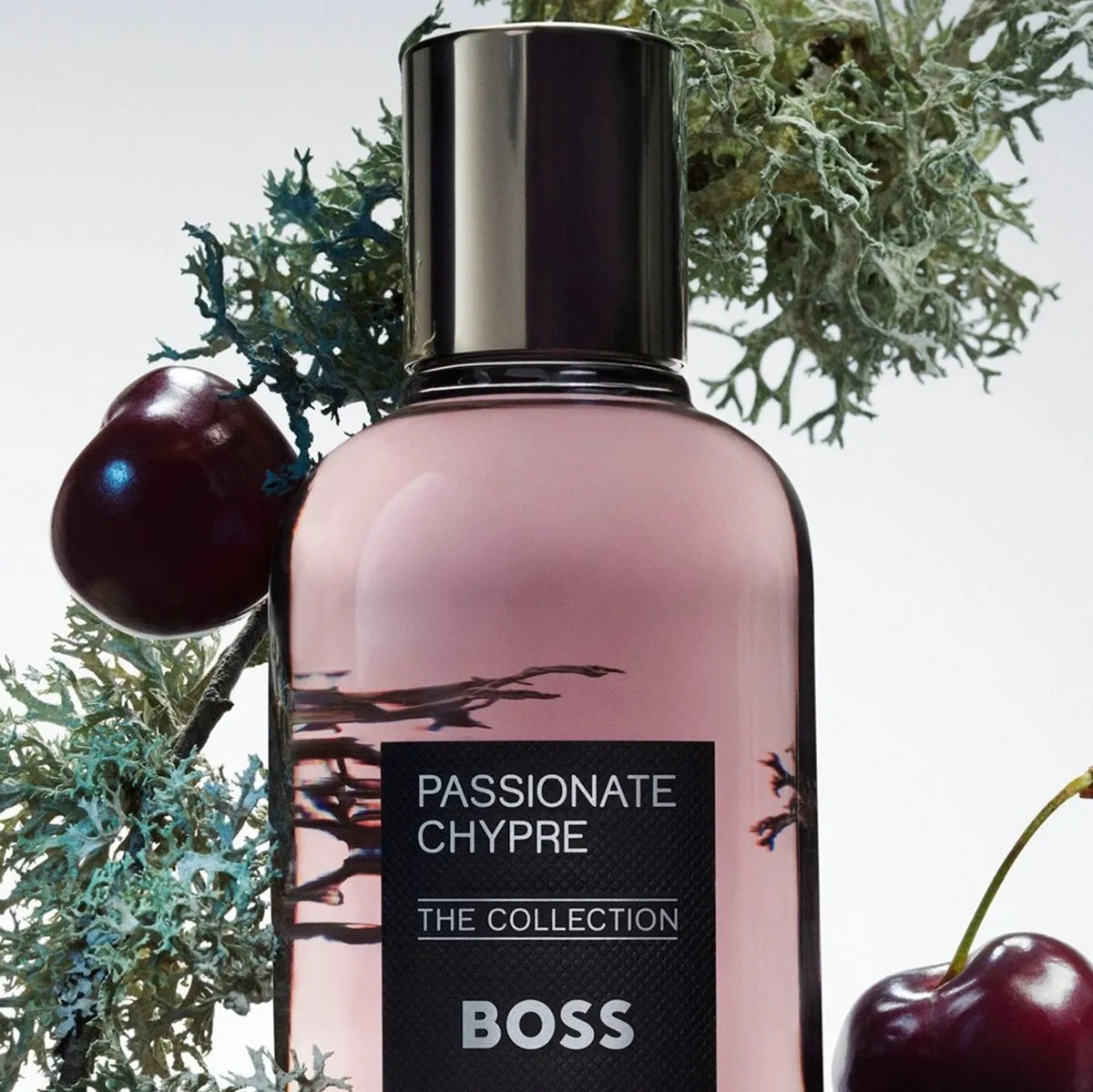 Hugo Boss Boss The Collection Passionate Chypre EDP