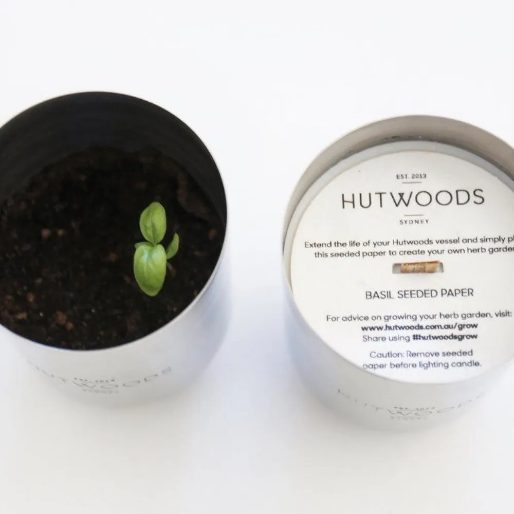 Hutwoods Luxury Candle Thyme & Olive Leaf