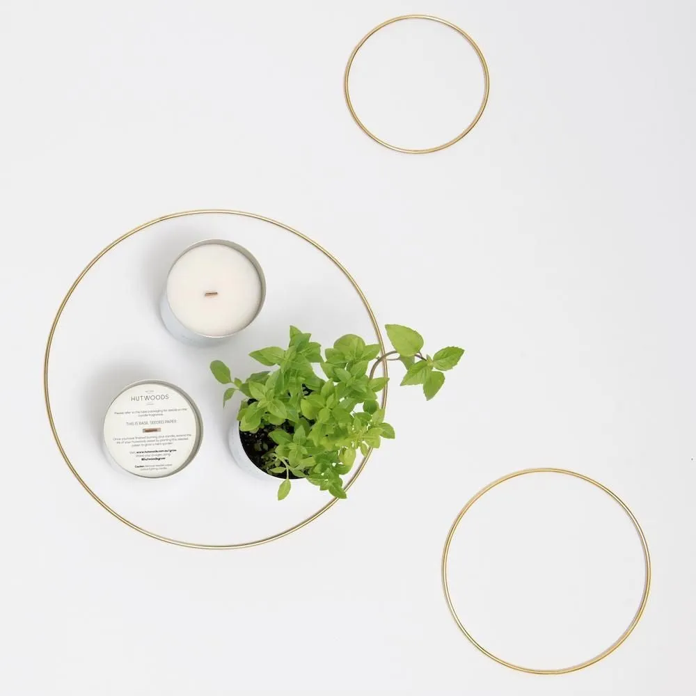 Hutwoods Luxury Candle Thyme & Olive Leaf