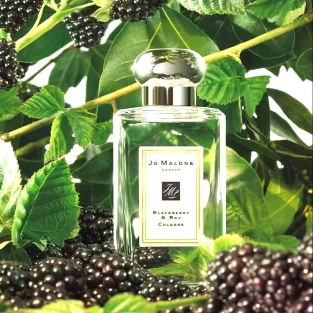 Jo Malone Blackberry & Bay Cologne