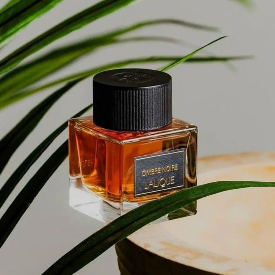 Lalique Ombre Noire EDP For Men