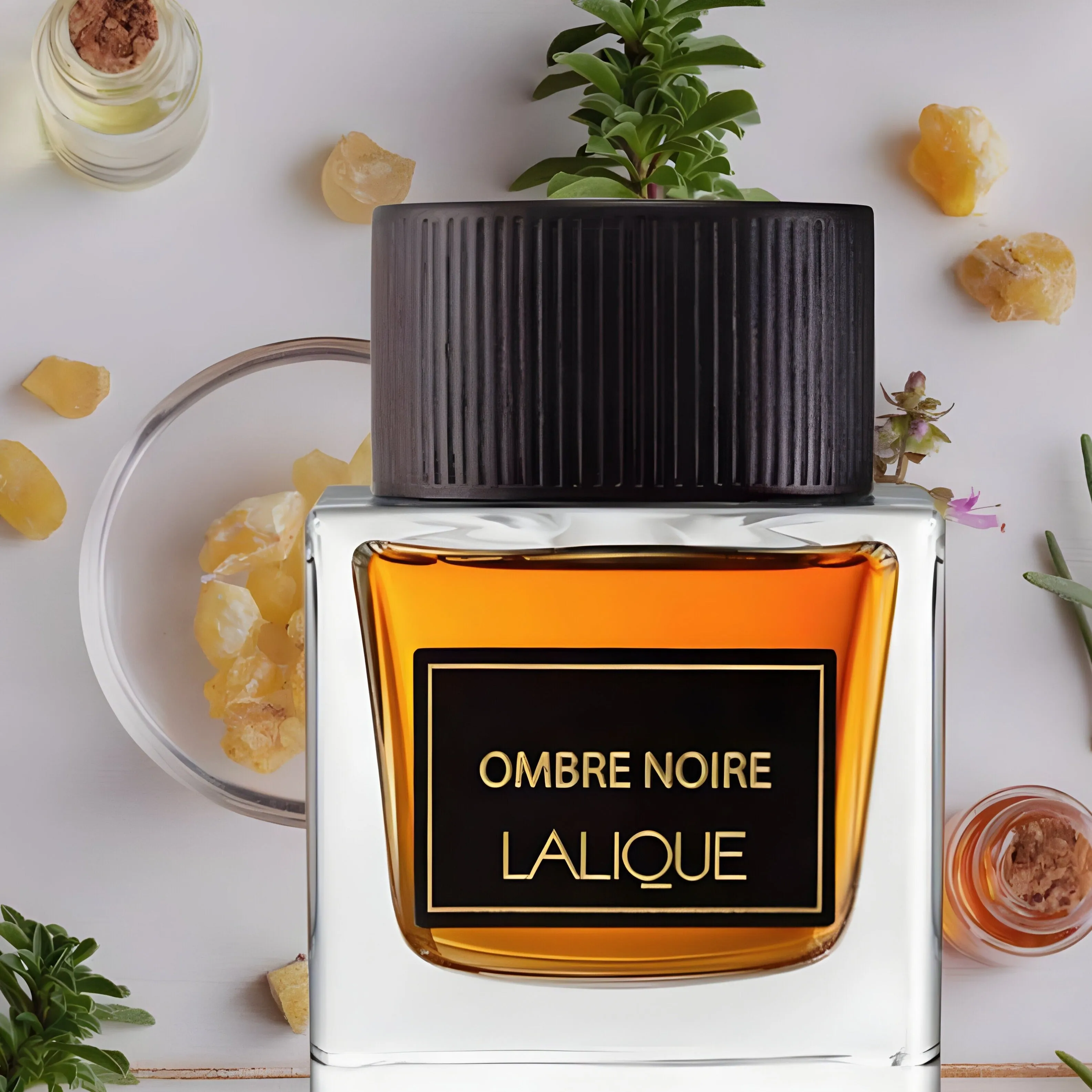 Lalique Ombre Noire EDP For Men