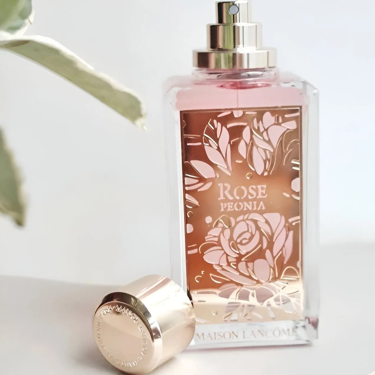 Lancome Maison Rose Peonia EDP