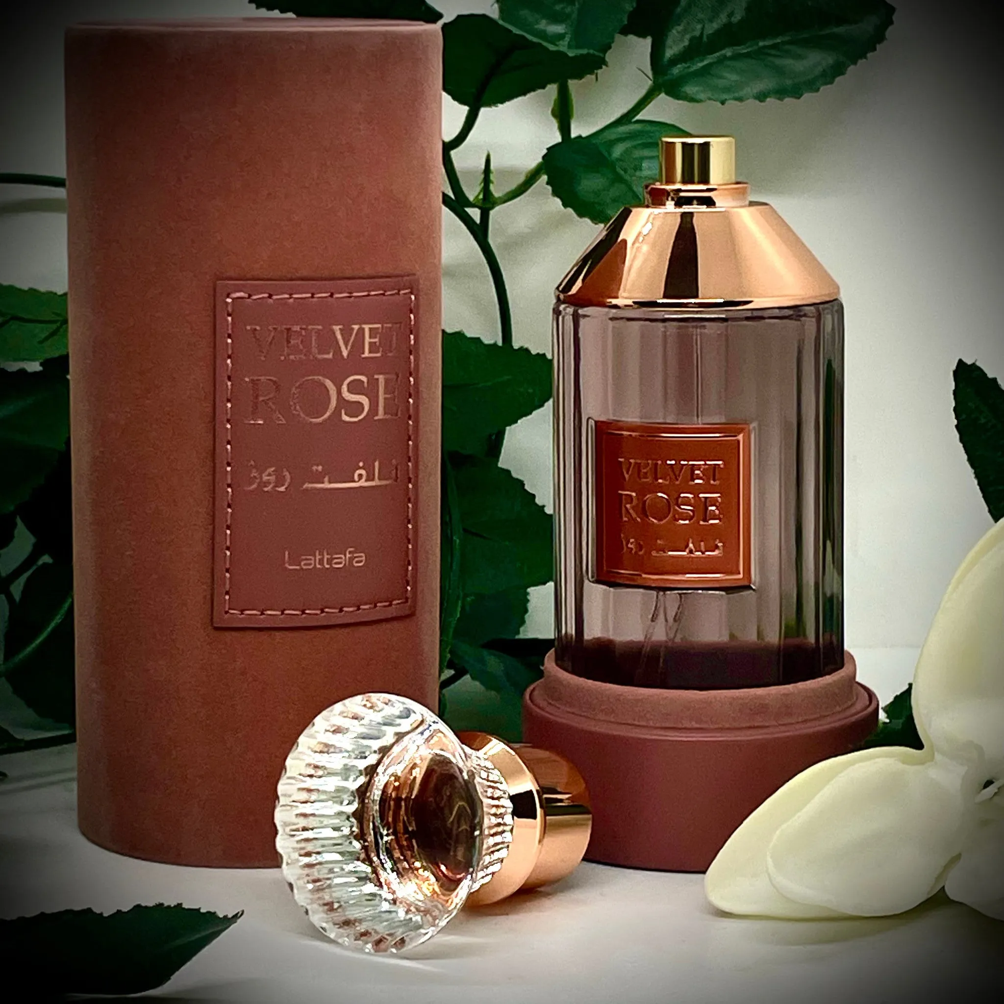 Lattafa Velvet Rose EDP