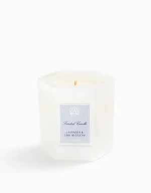 Lavender & Lime Blossom Candle Antica Farmacista
