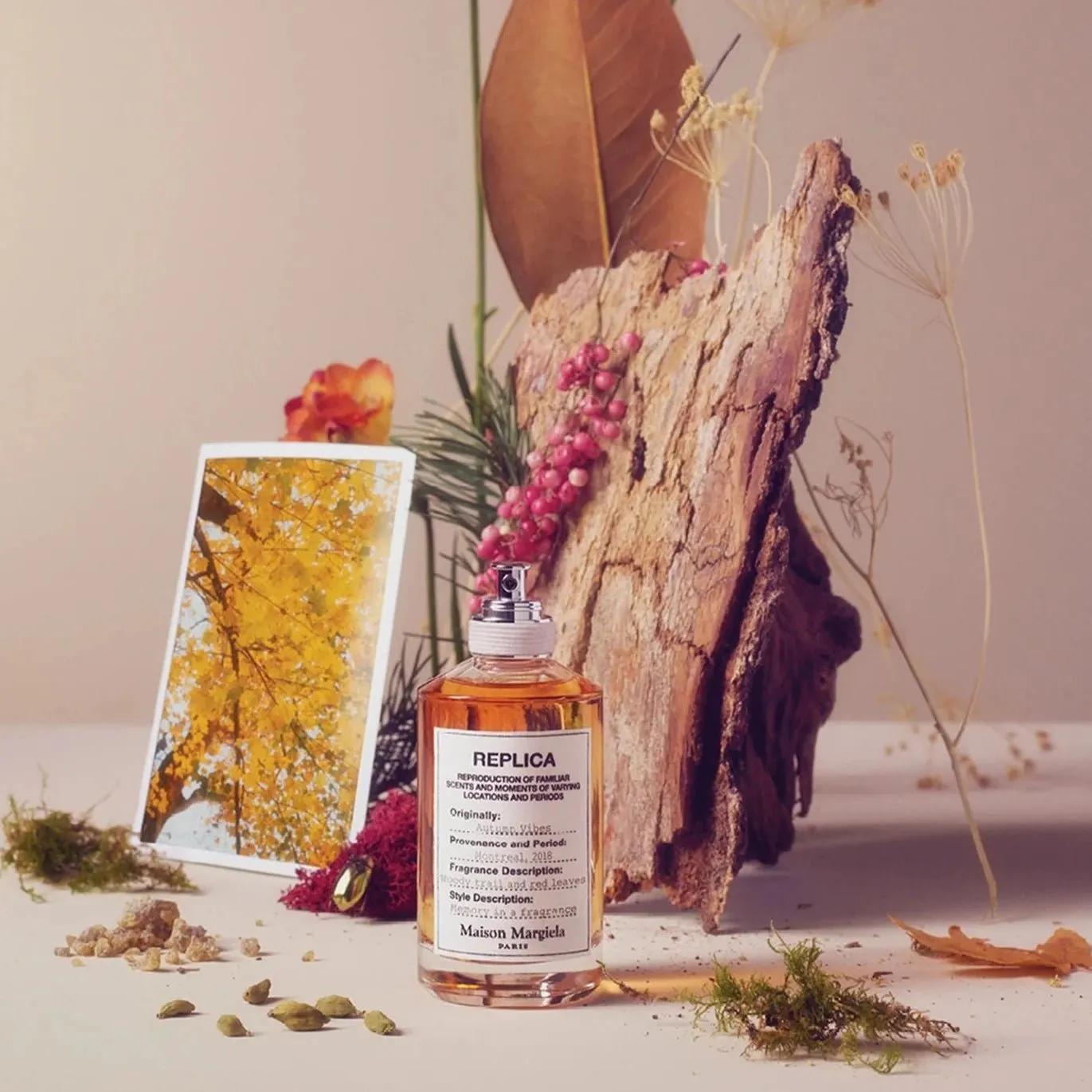 Maison Margiela Replica Autumn Vibes EDT