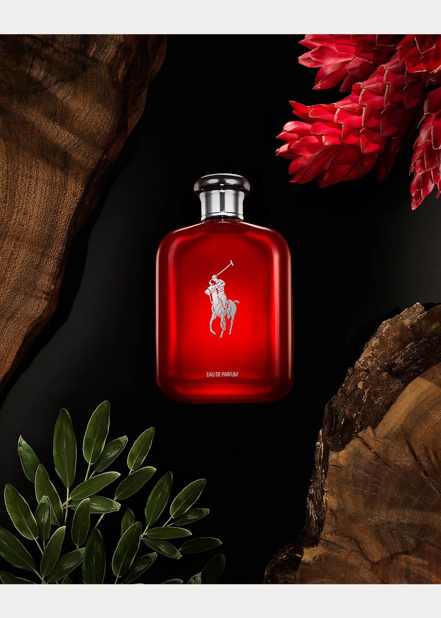 Polo Red Eau de Parfum