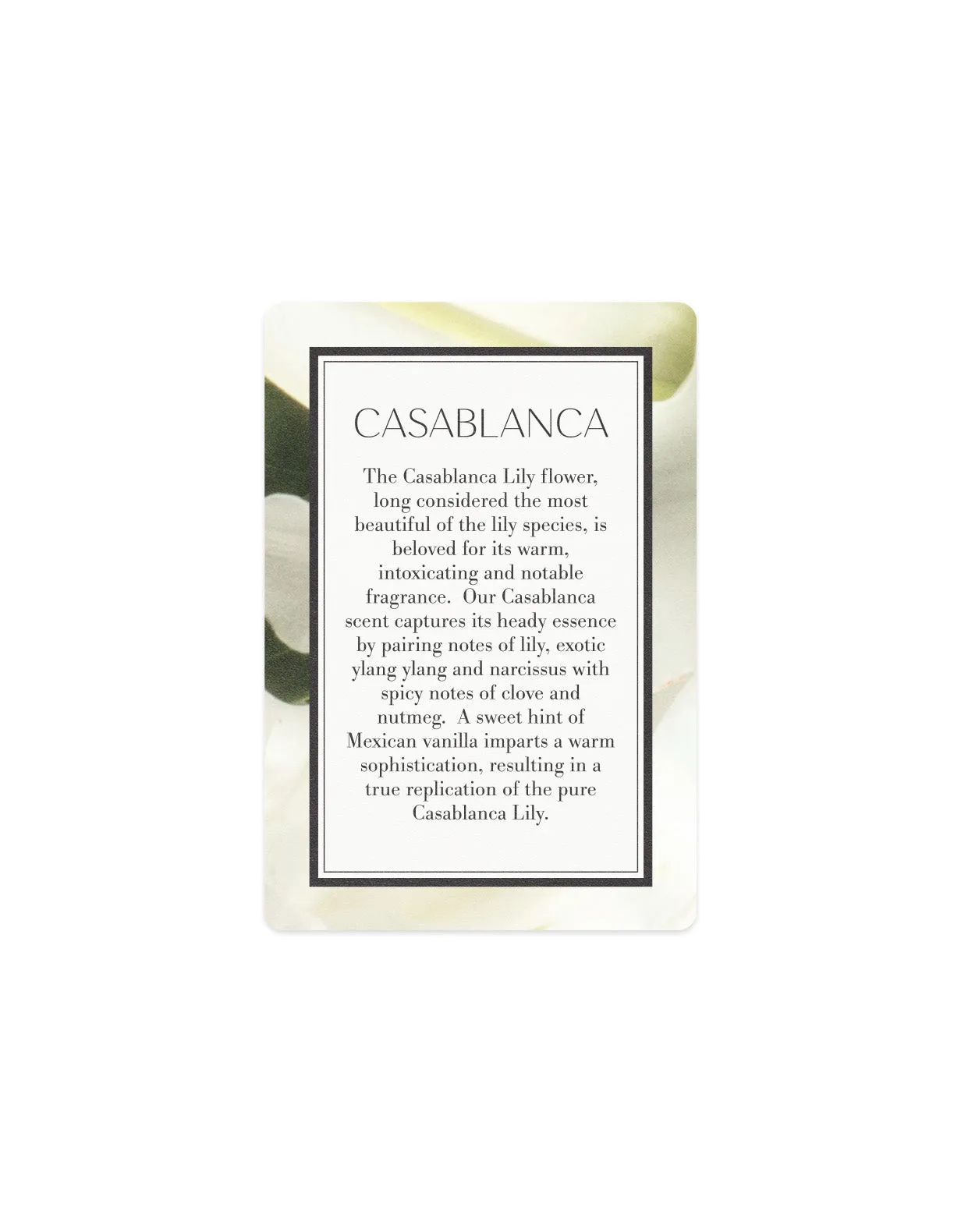 Scented Card - Casablanca Antica Farmacista