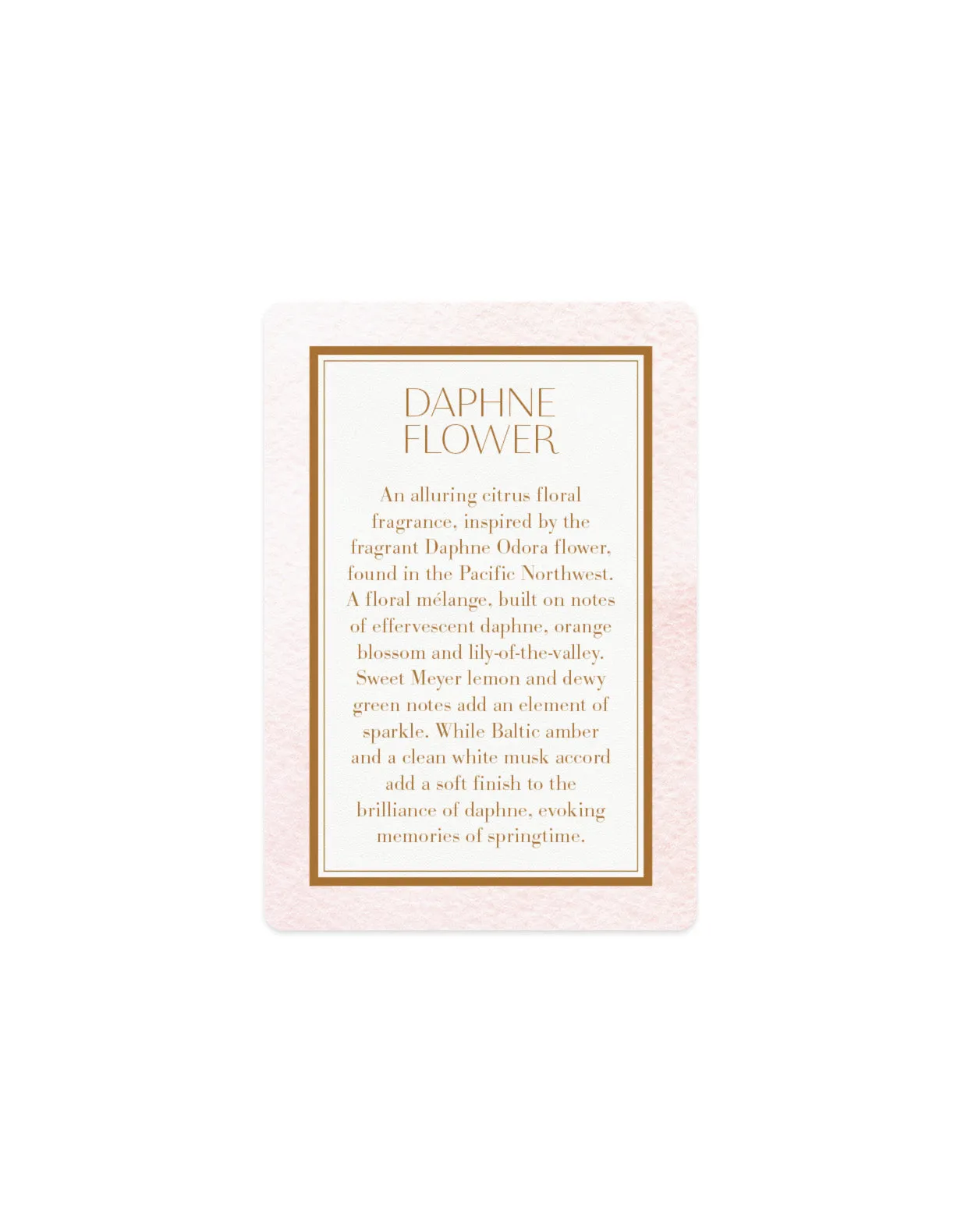 Scented Card - Daphne Flower Antica Farmacista