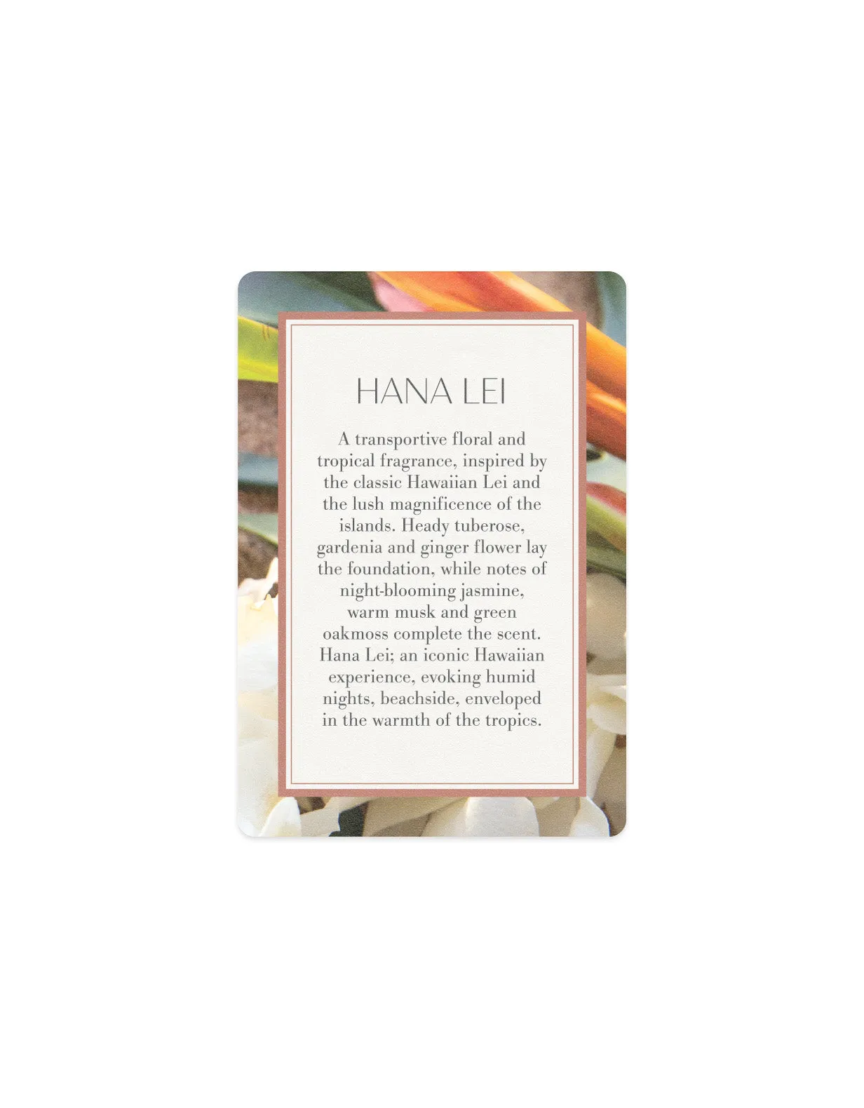 Scented Card - Hana Lei Antica Farmacista