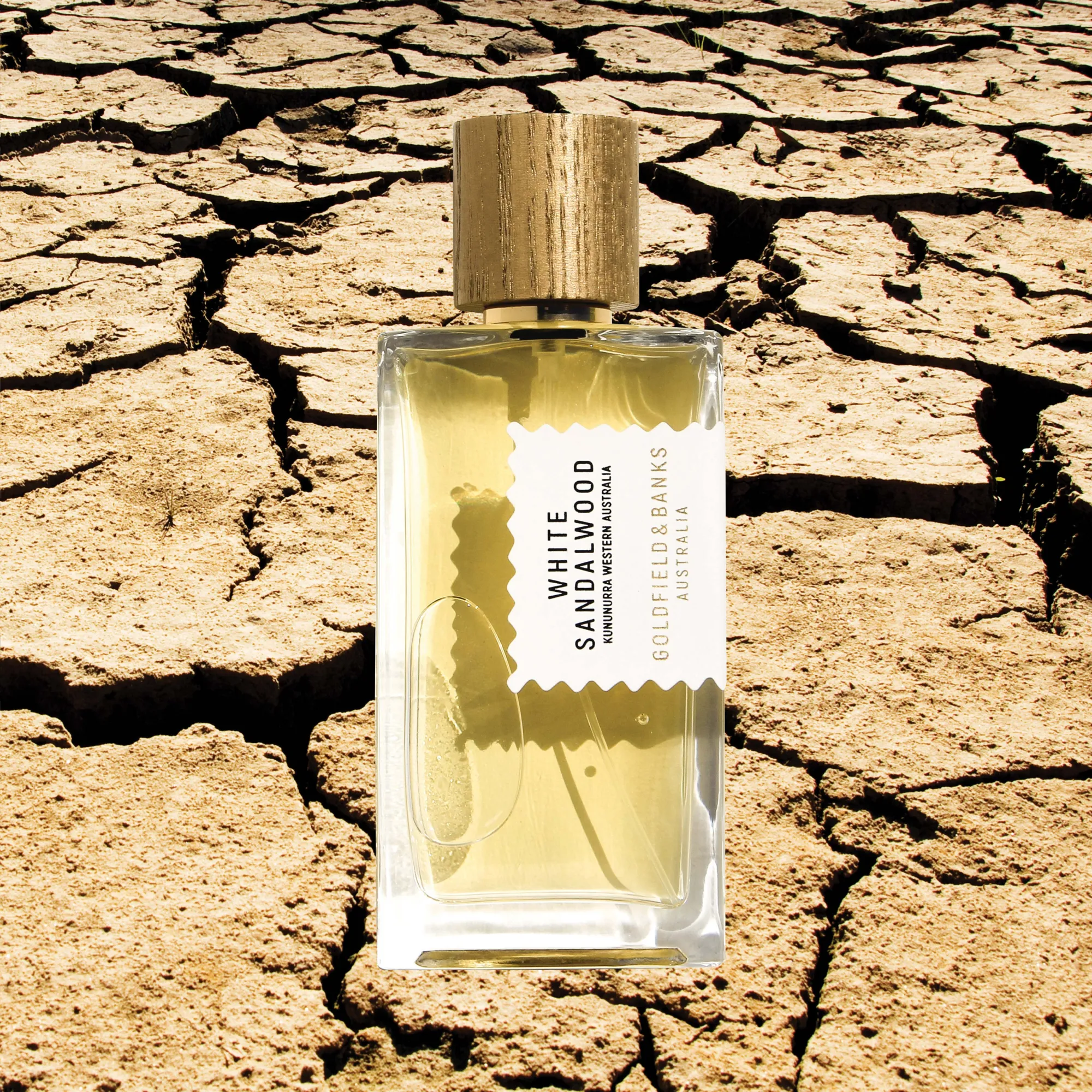 White Sandalwood Perfume Concentrate